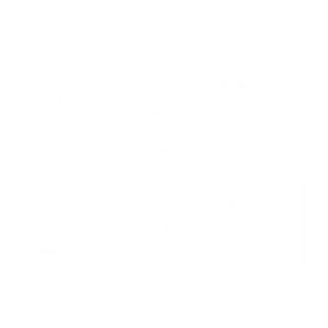 teamsteel 300x300